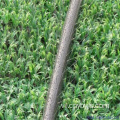 Vòi phun vi mô đất trang trại Orchard nhà kính tưới